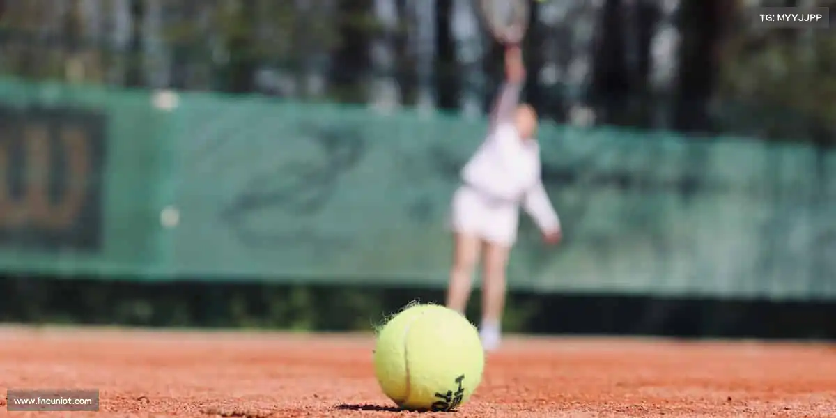 js3333线路检测中心——飞盘传情,快乐传递🥏